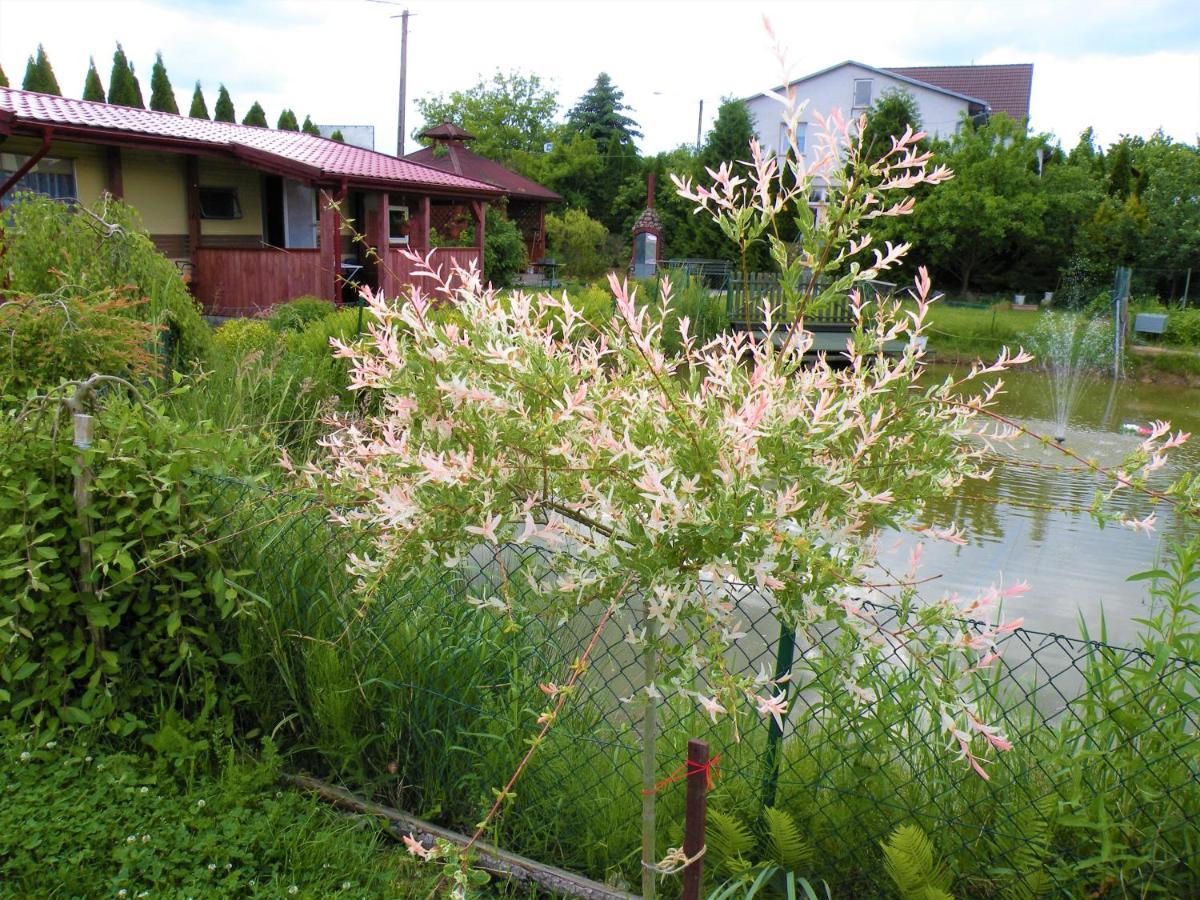 Domki Zabi Staw Mikolajki  Exterior photo